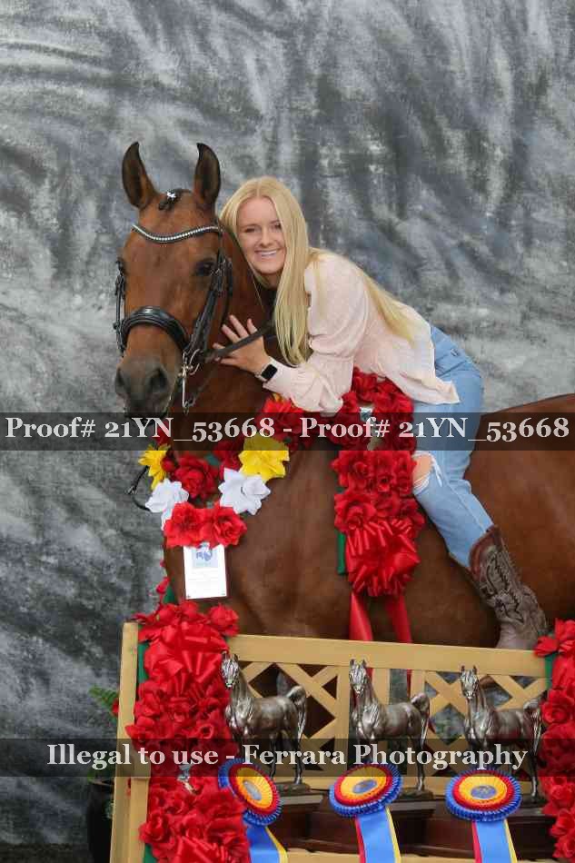 Proof 21YN_53668