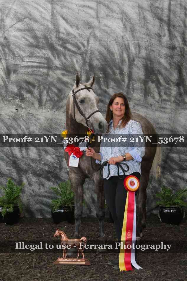 Proof 21YN_53678
