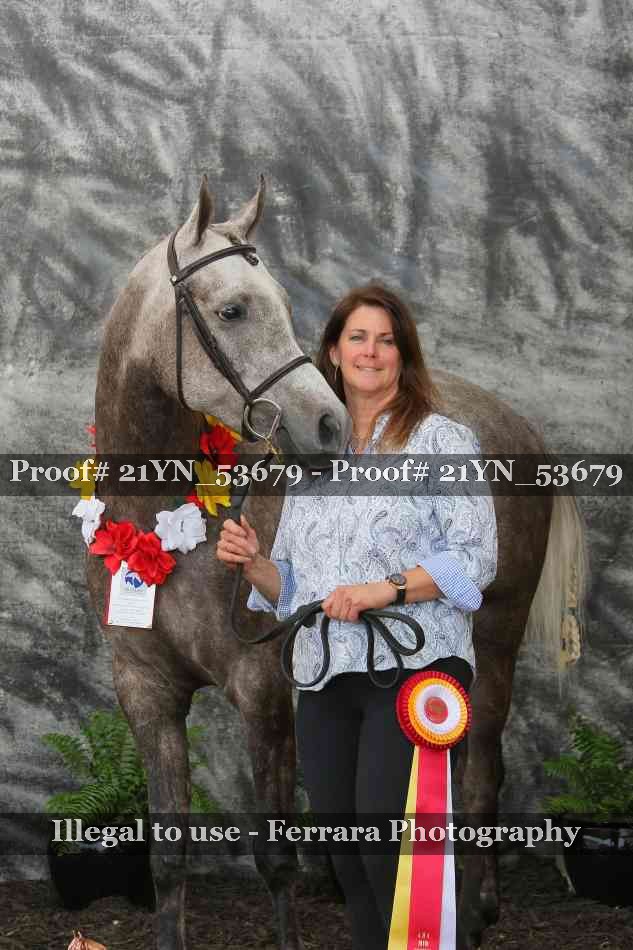 Proof 21YN_53679