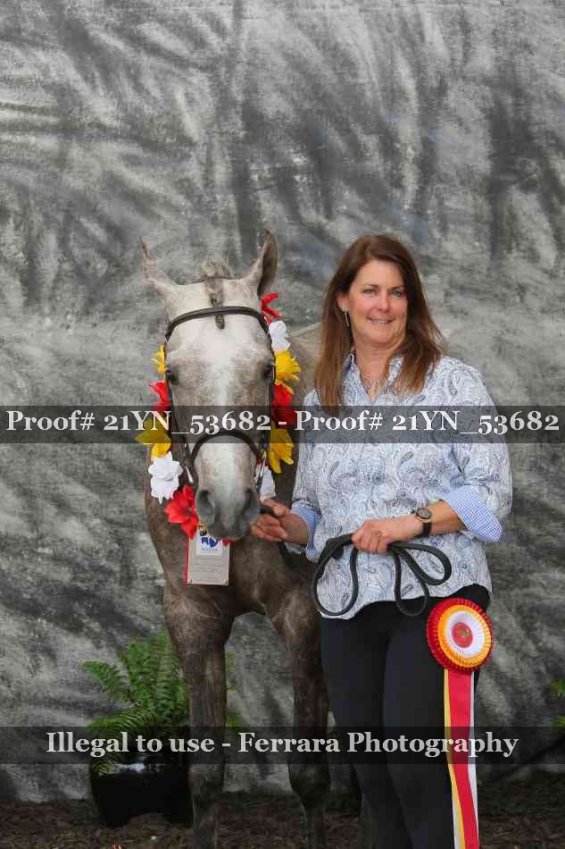 Proof 21YN_53682