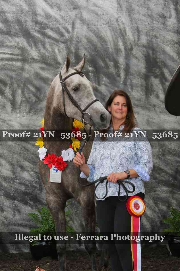Proof 21YN_53685