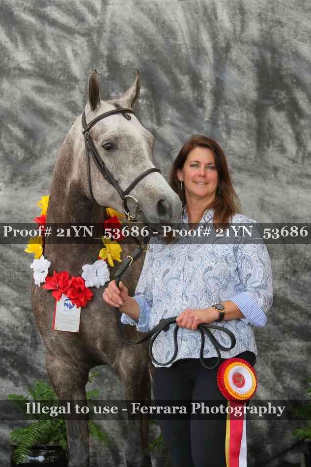 Proof 21YN_53686