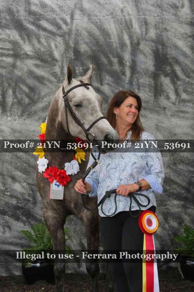 Proof 21YN_53691
