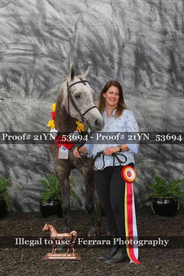 Proof 21YN_53694