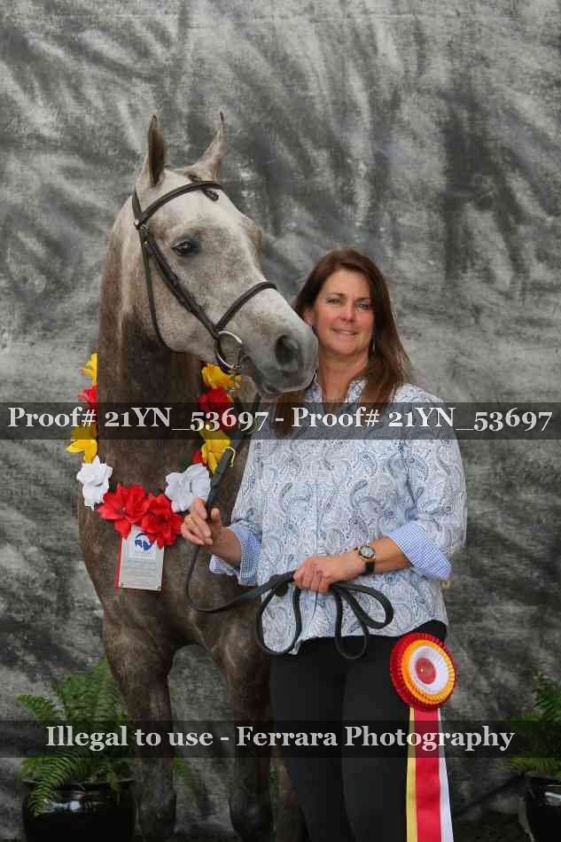 Proof 21YN_53697