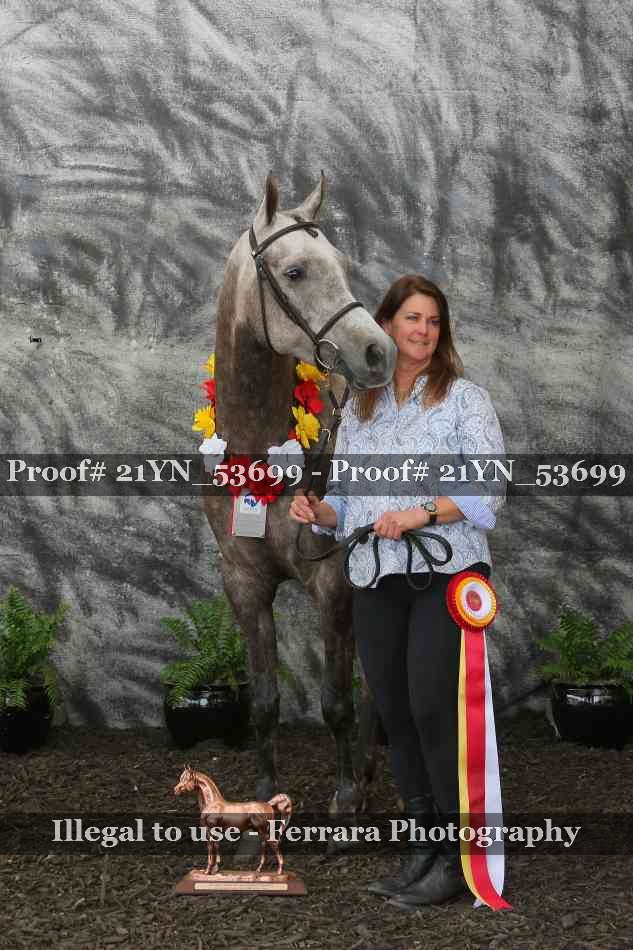 Proof 21YN_53699