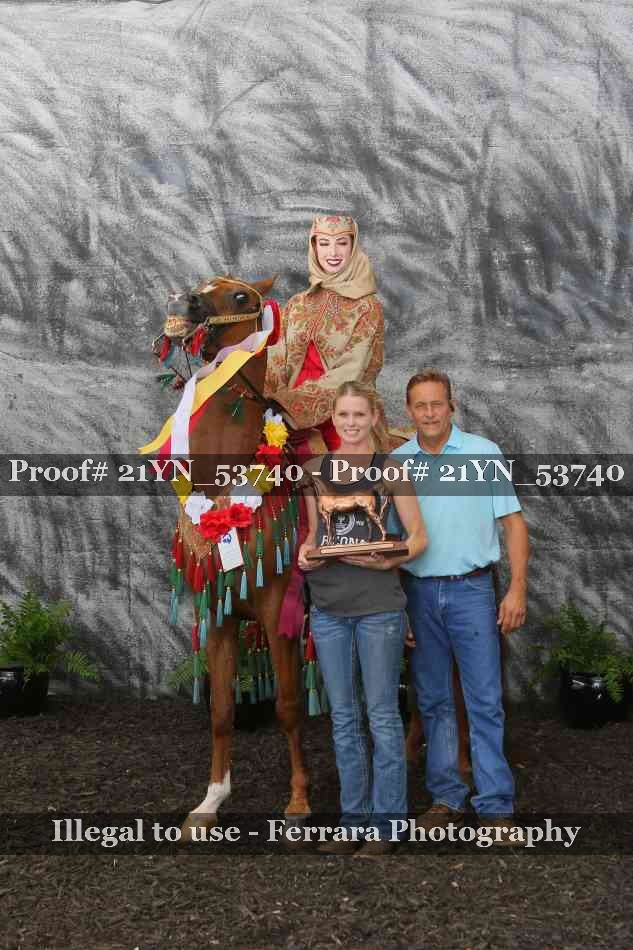 Proof 21YN_53740