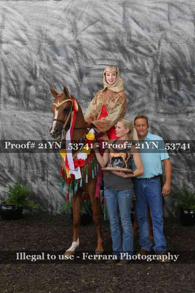 Proof 21YN_53741