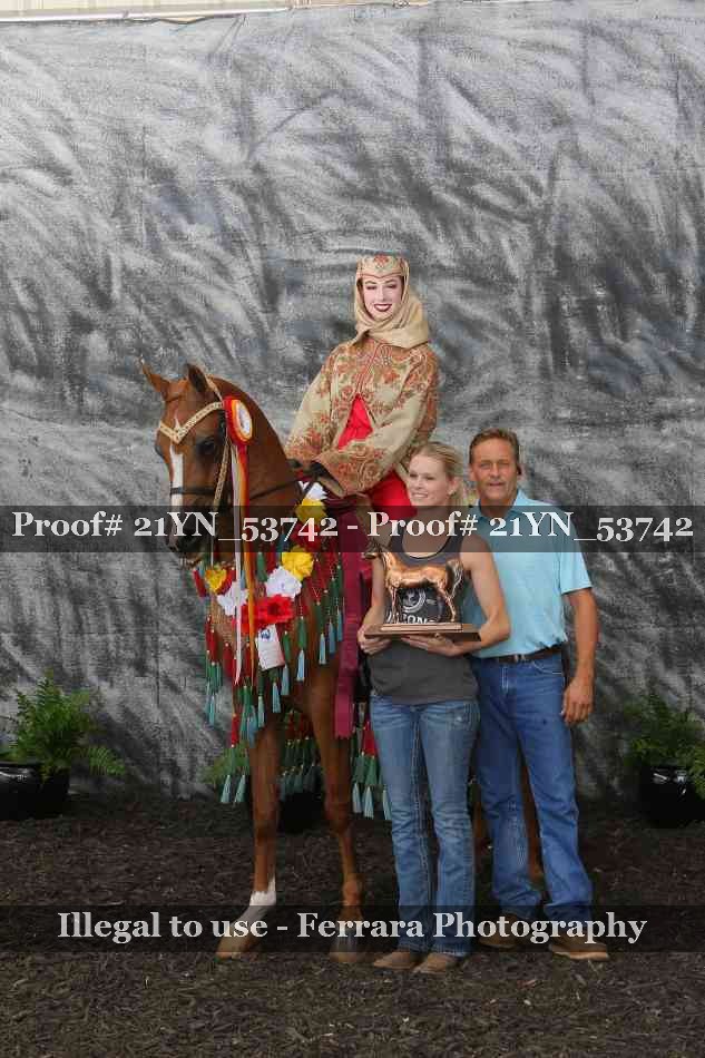 Proof 21YN_53742