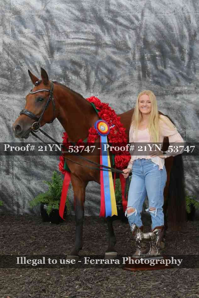 Proof 21YN_53747