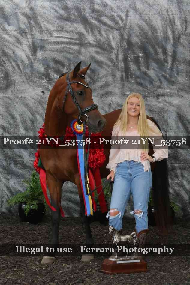 Proof 21YN_53758