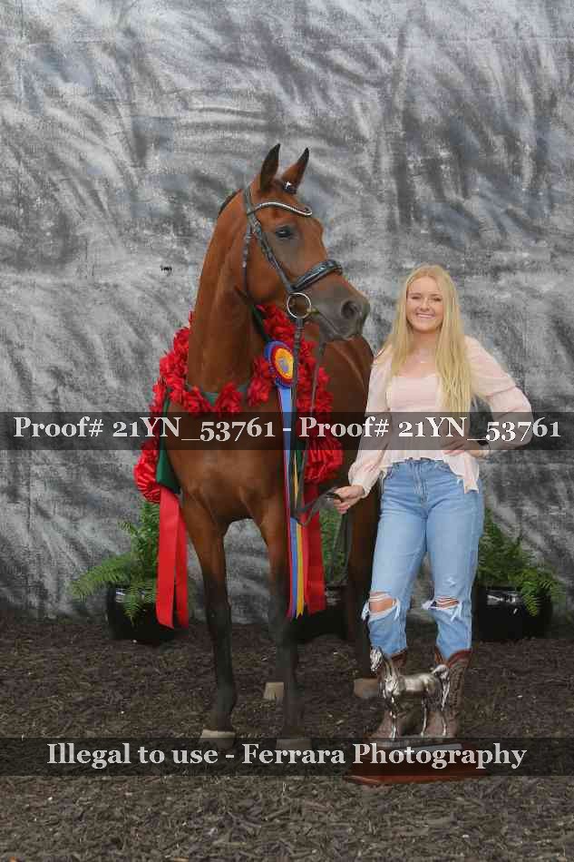 Proof 21YN_53761