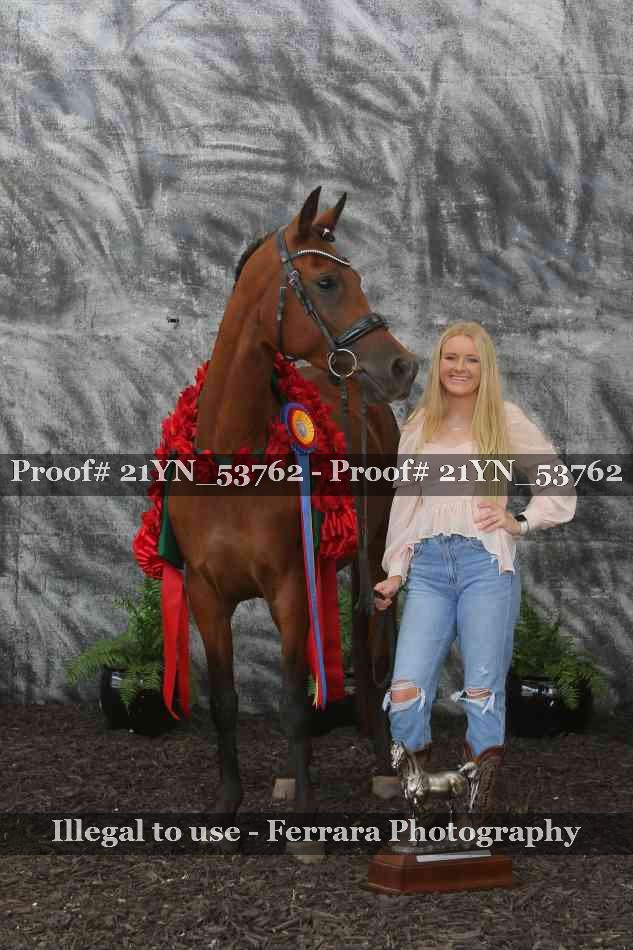 Proof 21YN_53762