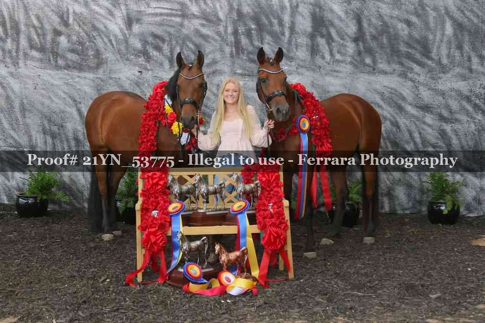 Proof 21YN_53775