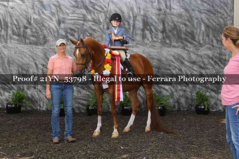 Proof 21YN_53798