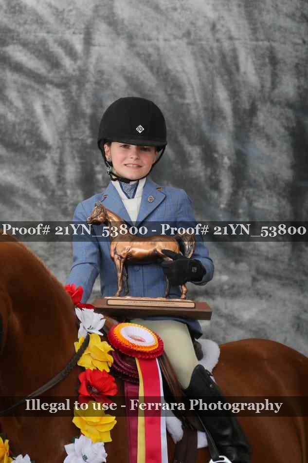 Proof 21YN_53800