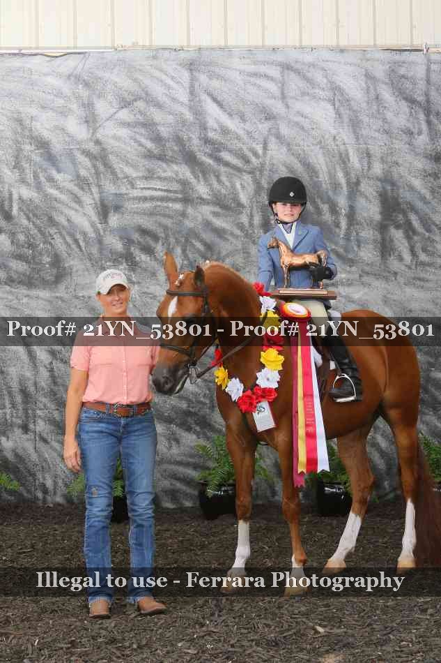 Proof 21YN_53801