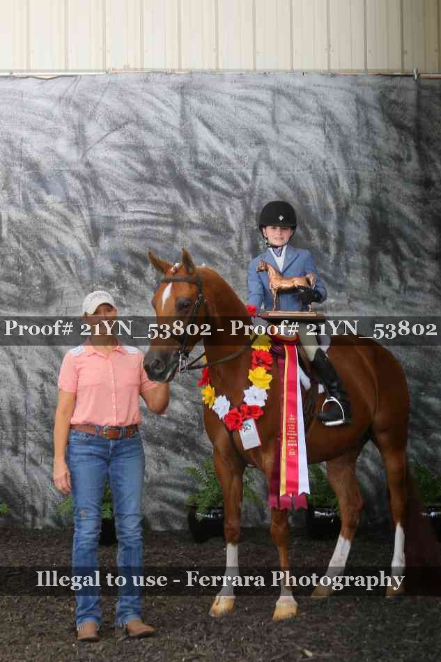 Proof 21YN_53802
