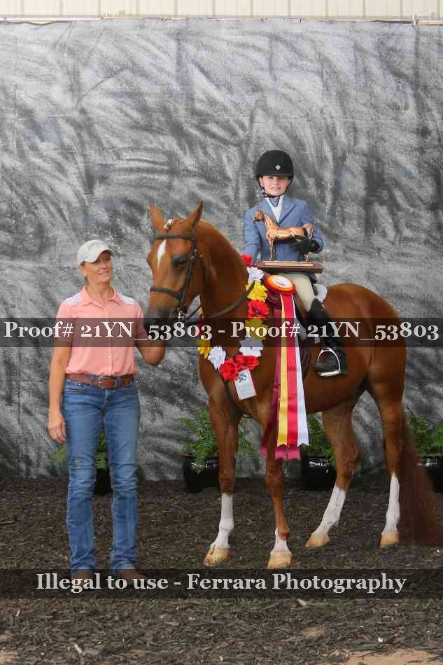 Proof 21YN_53803