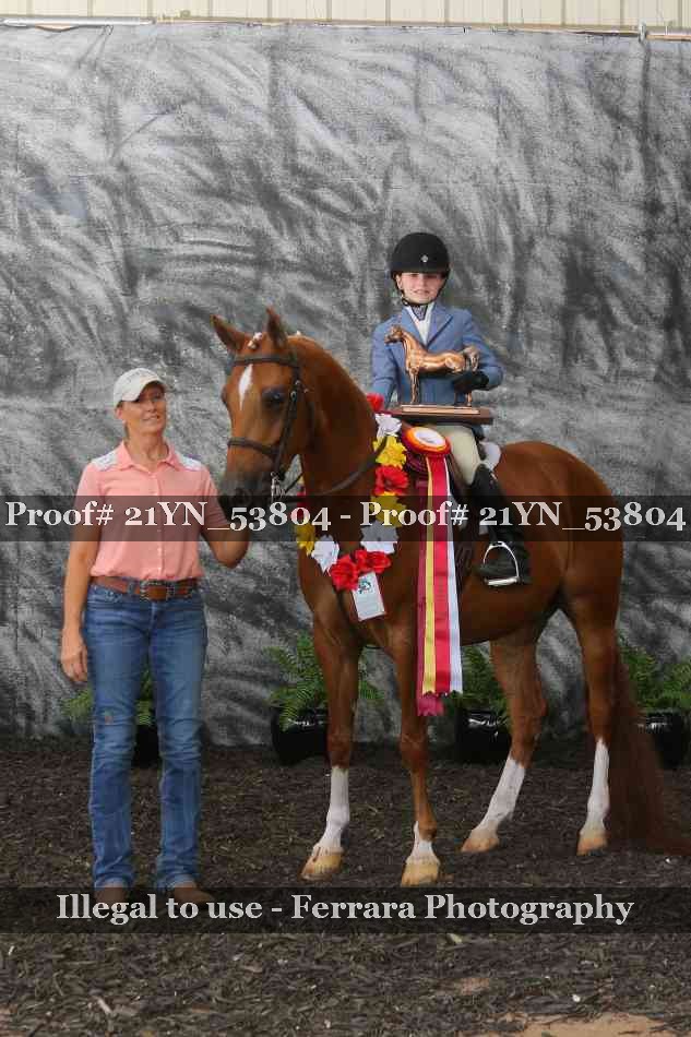 Proof 21YN_53804