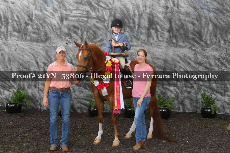 Proof 21YN_53806