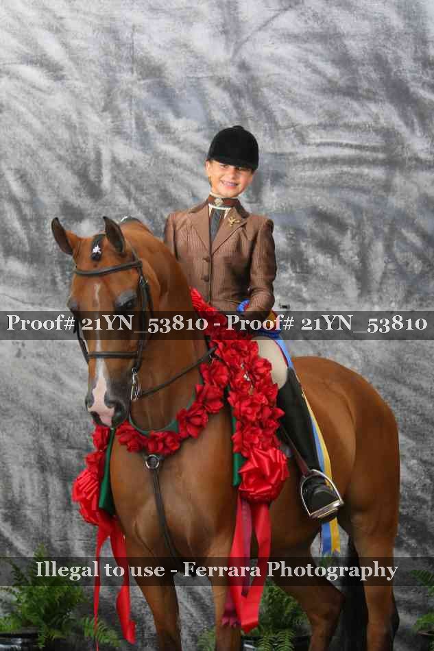 Proof 21YN_53810