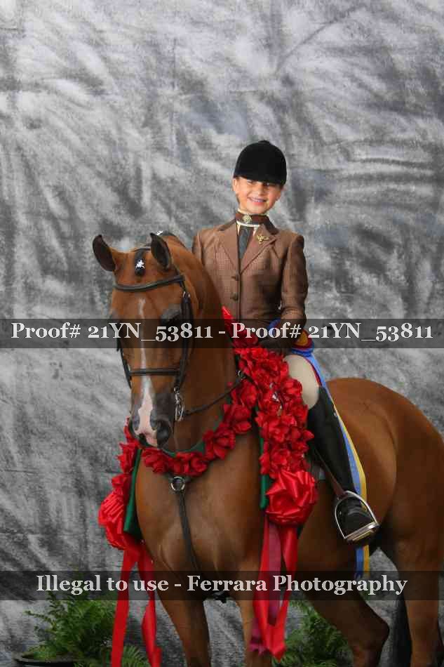 Proof 21YN_53811