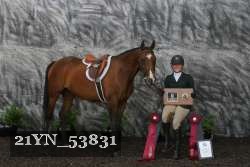 21YN_53831 proof