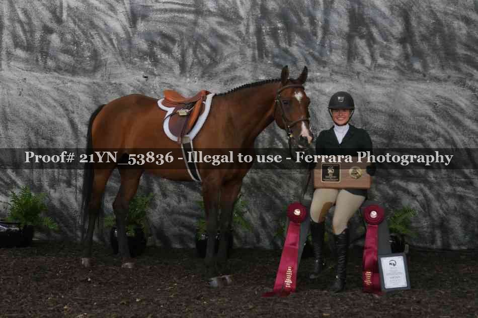 Proof 21YN_53836
