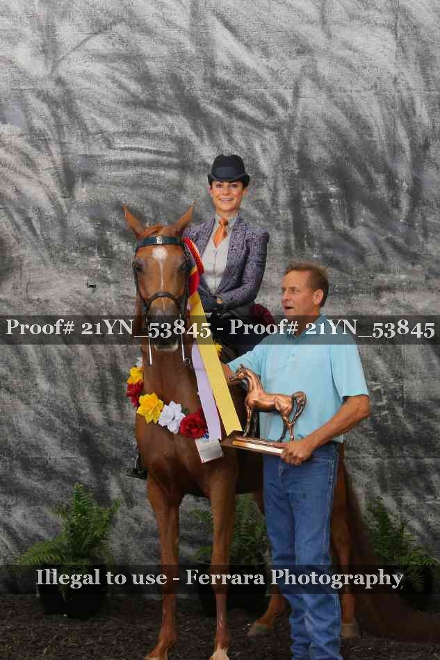 Proof 21YN_53845