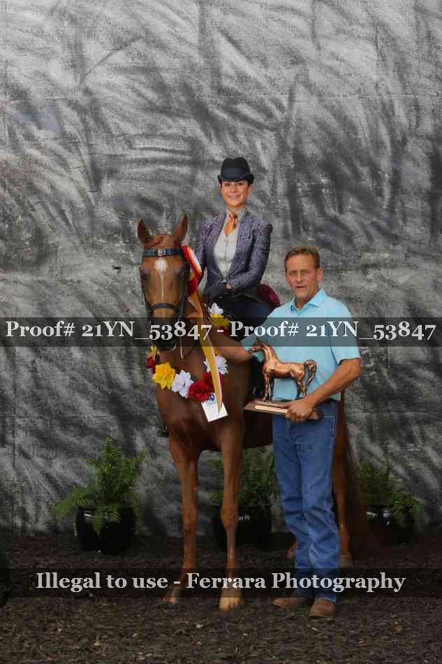 Proof 21YN_53847