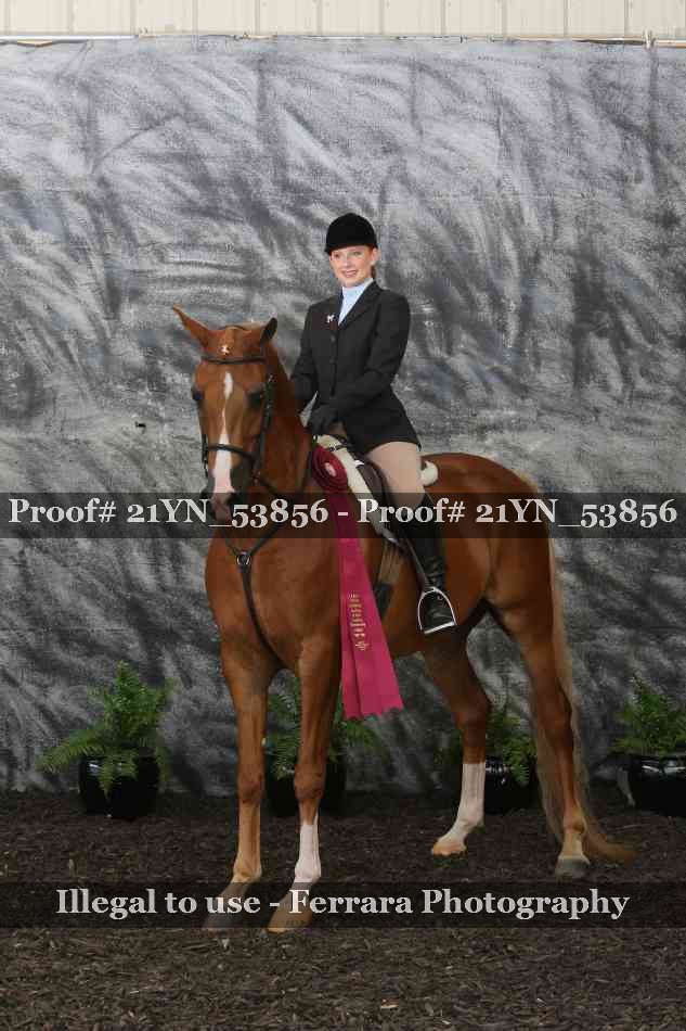 Proof 21YN_53856