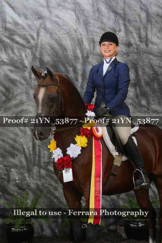 Proof 21YN_53877