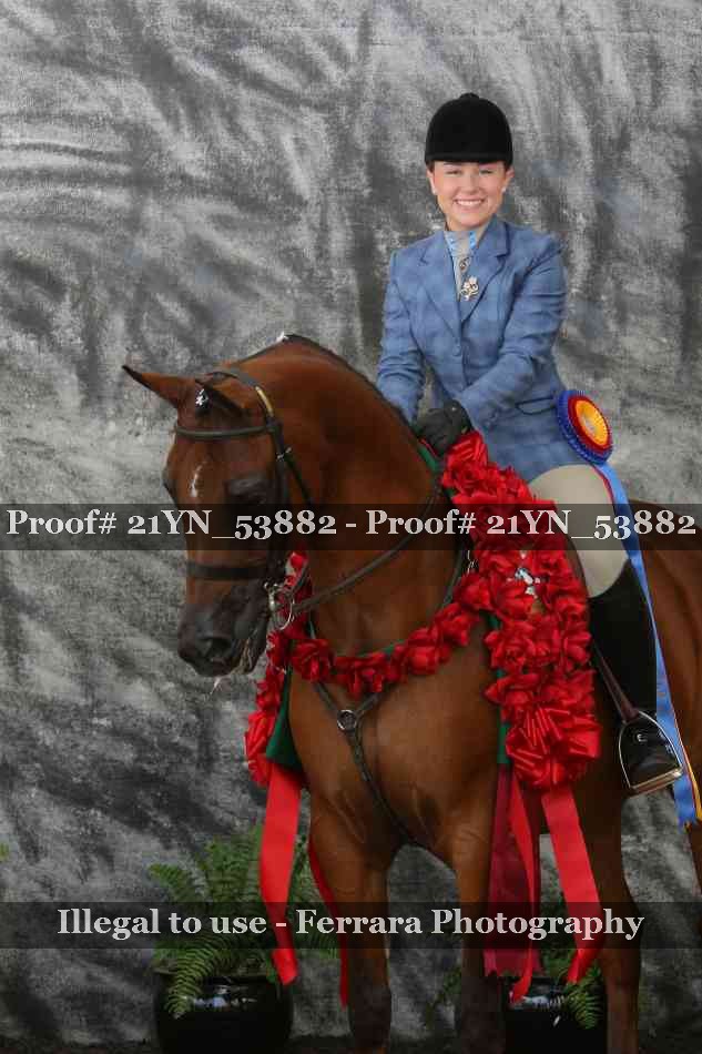Proof 21YN_53882