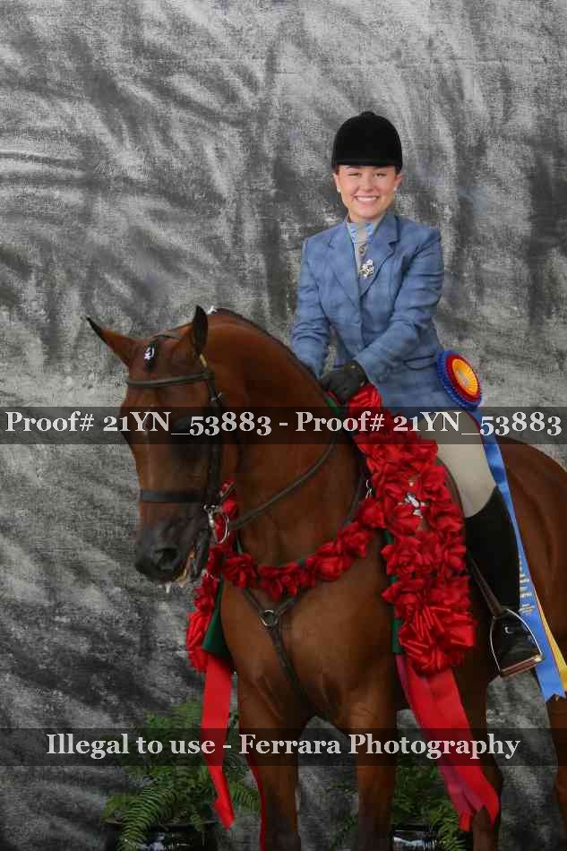 Proof 21YN_53883