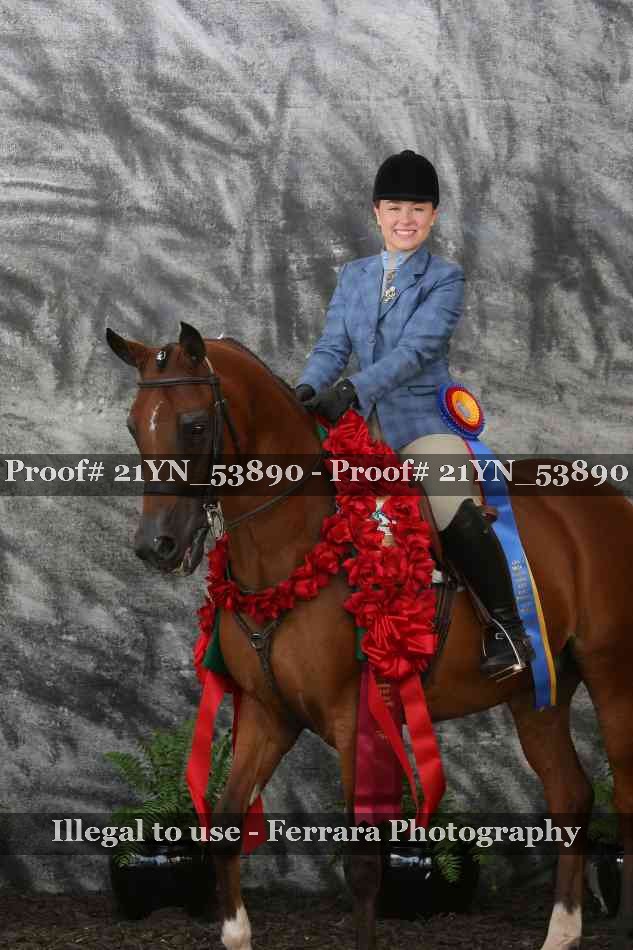 Proof 21YN_53890