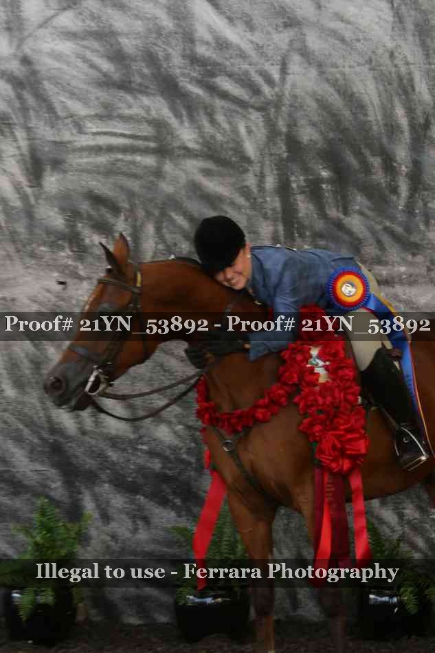 Proof 21YN_53892