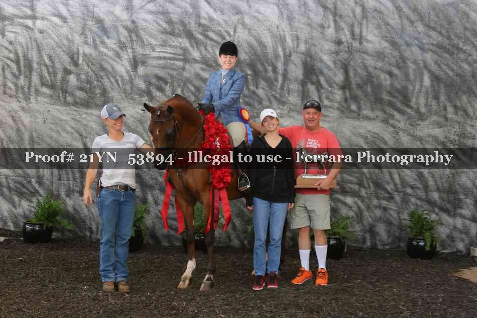 Proof 21YN_53894