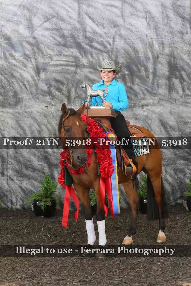 Proof 21YN_53918