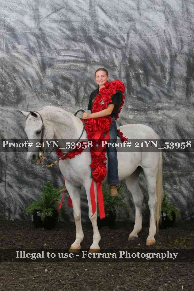 Proof 21YN_53958