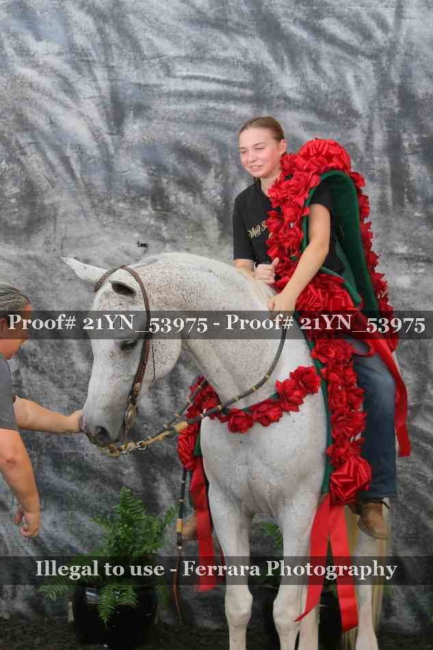 Proof 21YN_53975