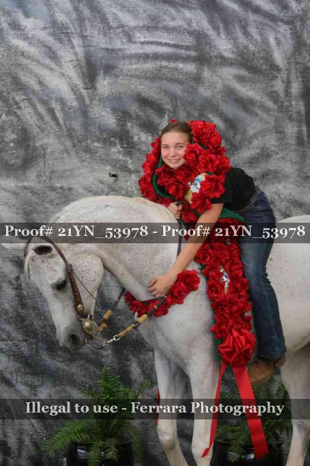Proof 21YN_53978