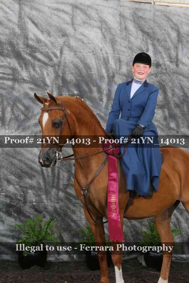Proof 21YN_14013