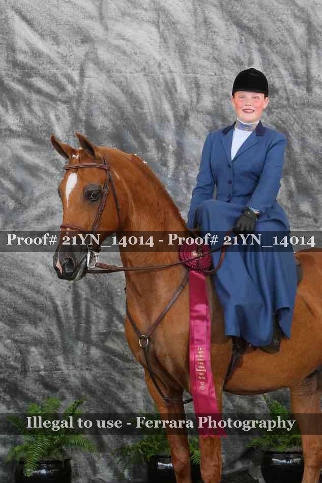 Proof 21YN_14014
