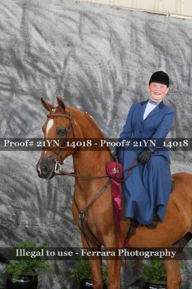 Proof 21YN_14018