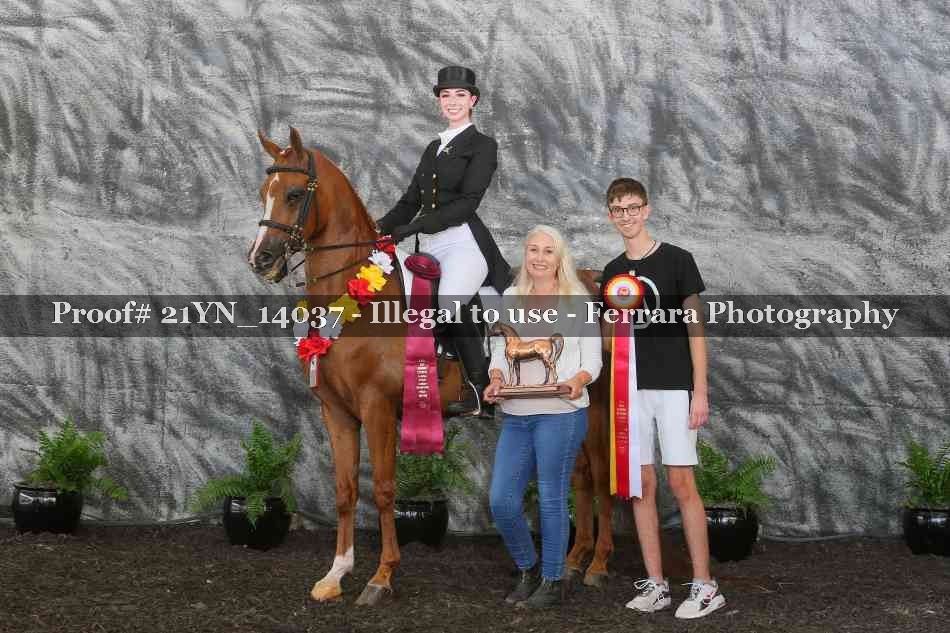 Proof 21YN_14037
