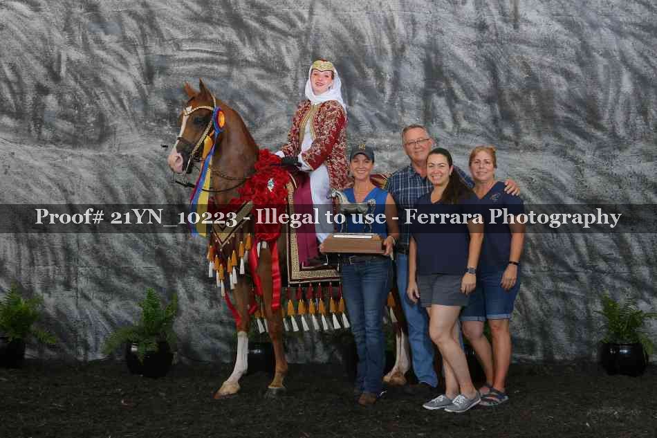 Proof 21YN_10223
