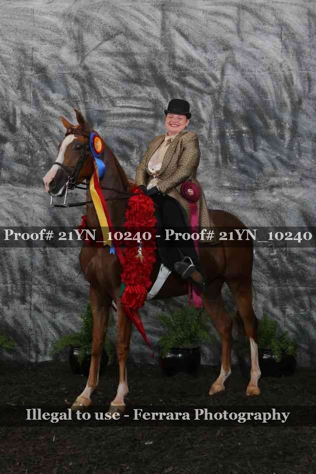 Proof 21YN_10240