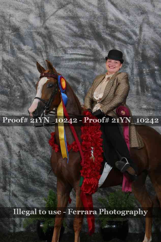 Proof 21YN_10242