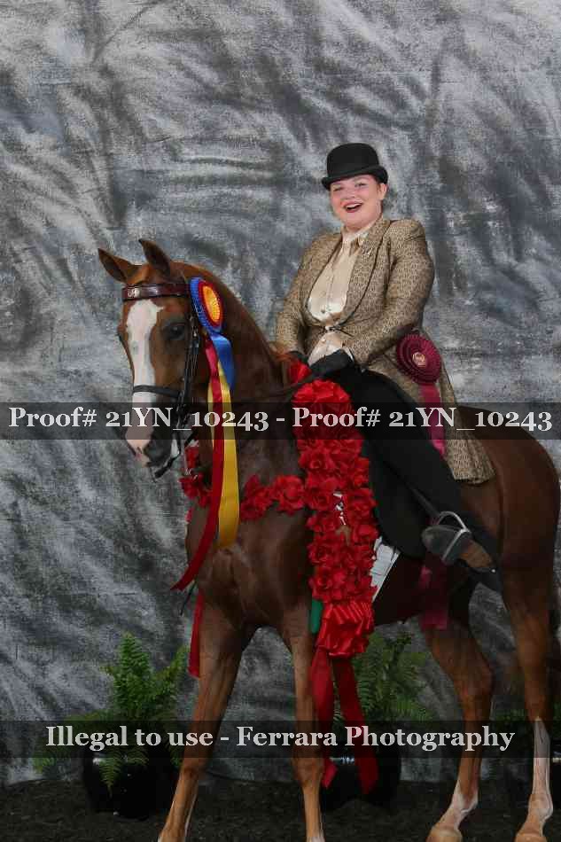 Proof 21YN_10243